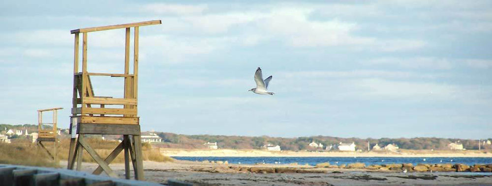 Handkerchief Shoals Inn South Harwich 외부 사진